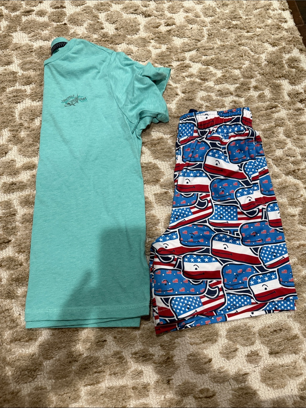 Kids Teal Short Sleeve Top With Patriotic Whale Print Shorts